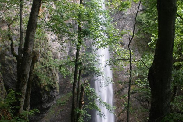 Suvcharsko_praskalo_waterfall,_Bulgaria,водопад_Сувчарско_пръскало,_България_2012